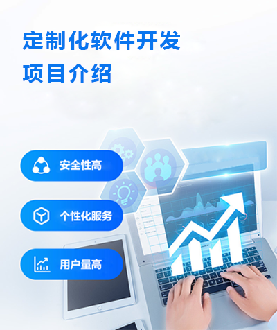 定制化软件开发项目介绍